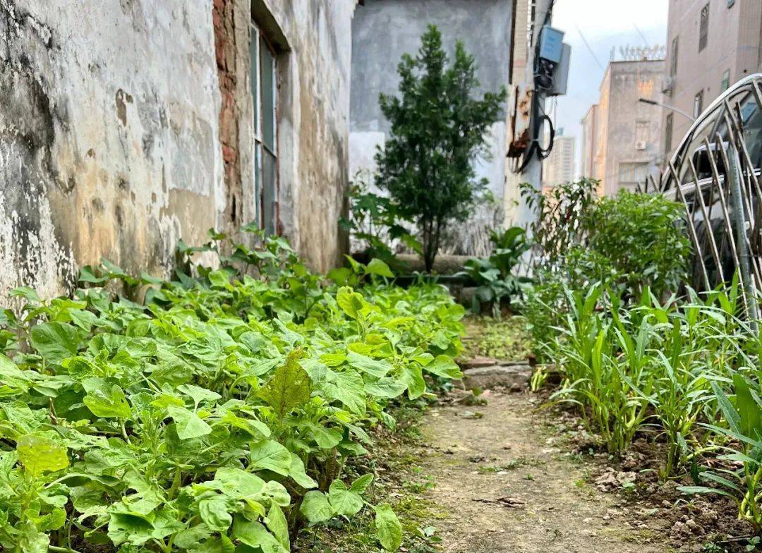 93年生的李嗨森：四年不工作，我活得更好了