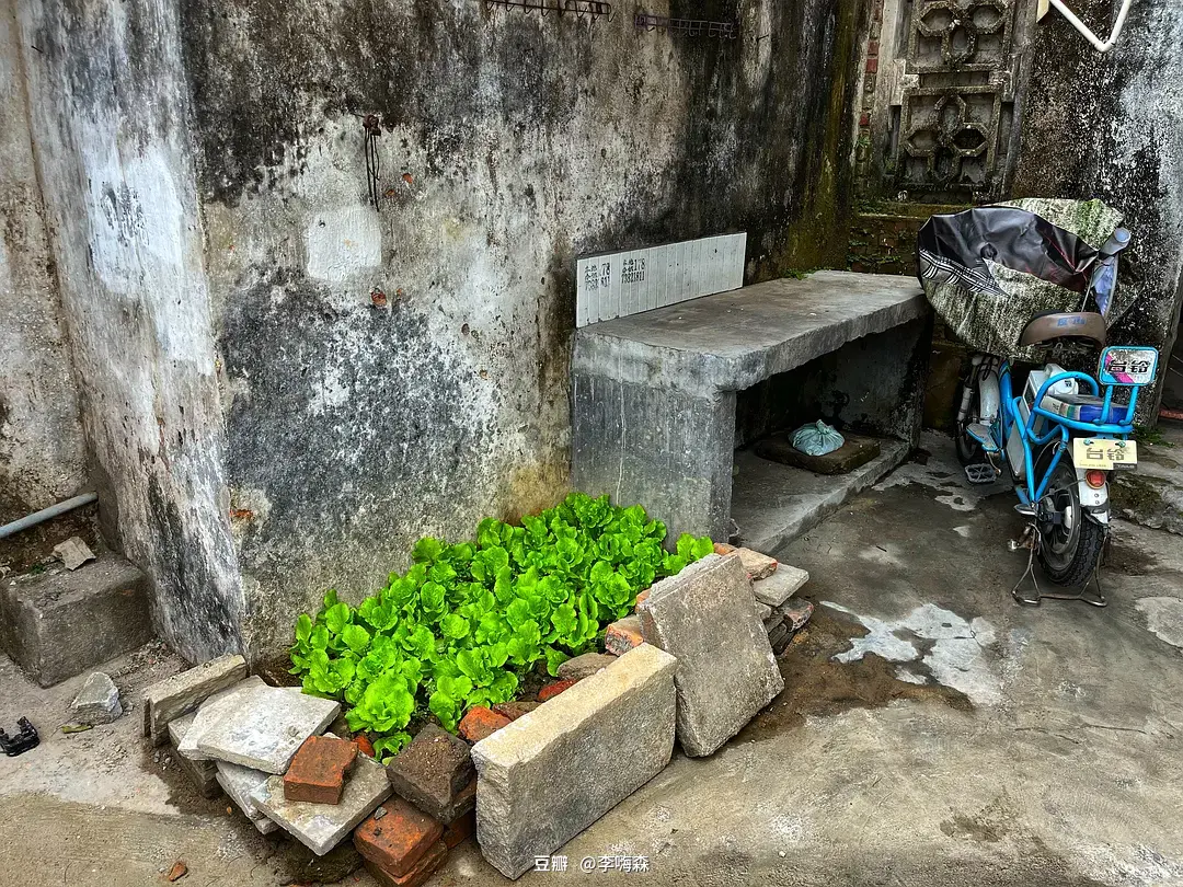 93年生的李嗨森：四年不工作，我活得更好了