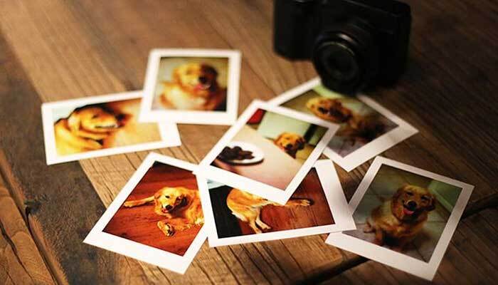 六寸照片尺寸是多少？